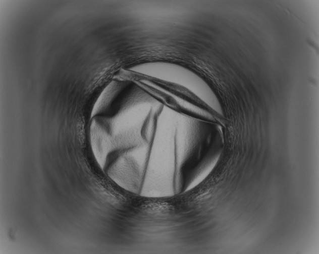 X0000091450642200709131716
