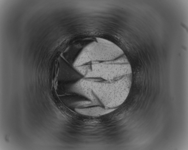 X0000091450643200709131716
