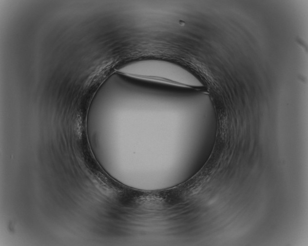 X0000091450644200709131716