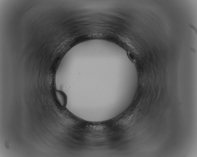 X0000091450645200709131716