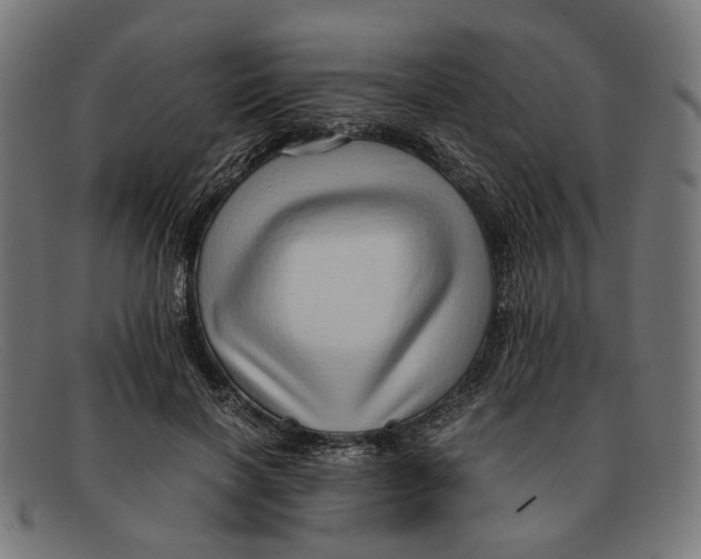 X0000091450646200709131716