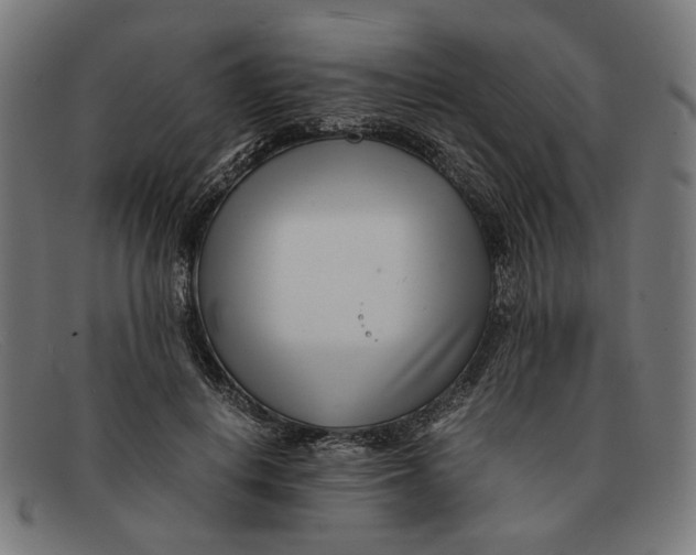 X0000091450648200709131716