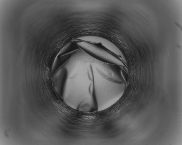 X0000091450649200709131716