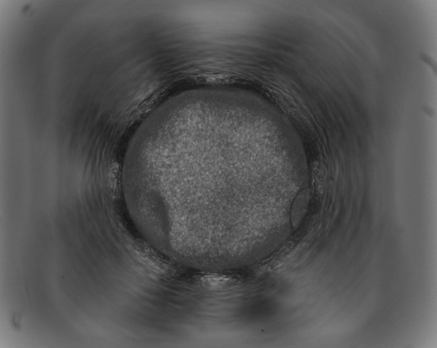 X0000091450650200709131716