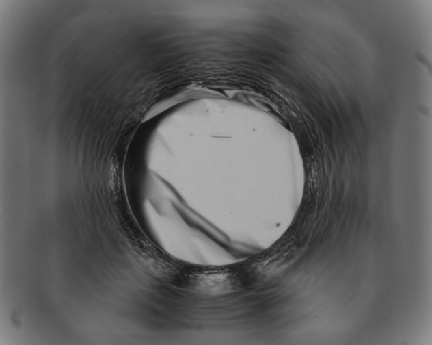 X0000091450651200709131716