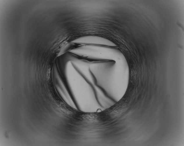 X0000091450652200709131716