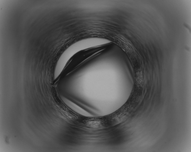 X0000091450653200709131716