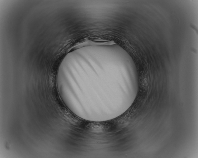 X0000091450658200709131716