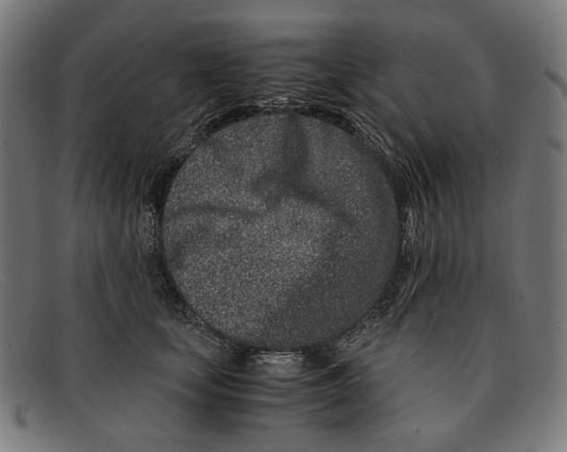 X0000091450659200709131716