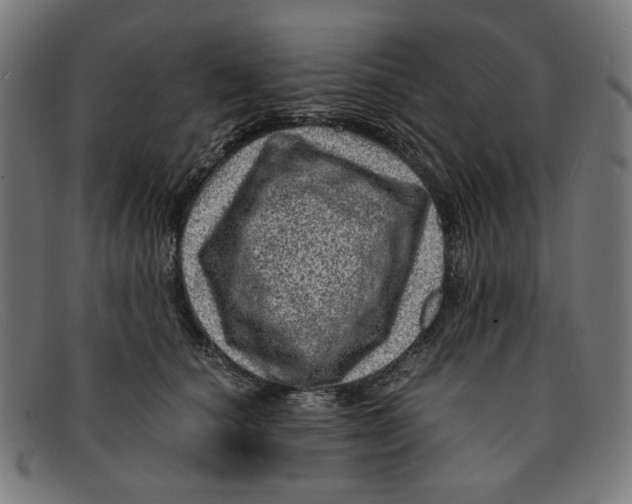 X0000091450660200709131716