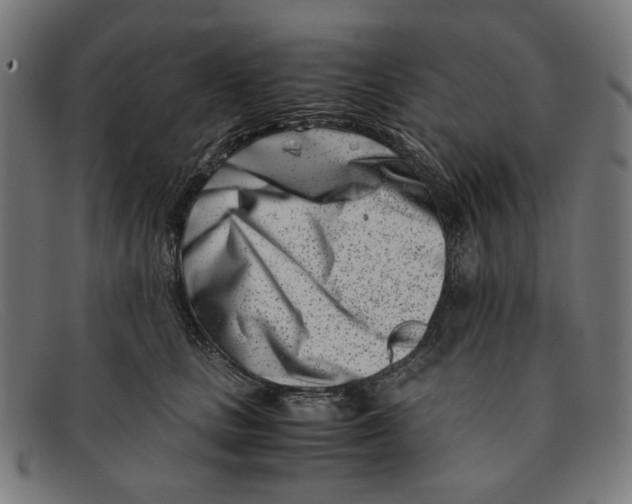 X0000091450661200709131716