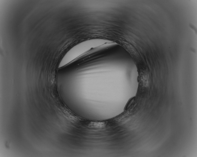 X0000091450665200709131716