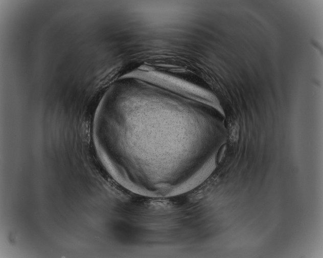 X0000091450666200709131716
