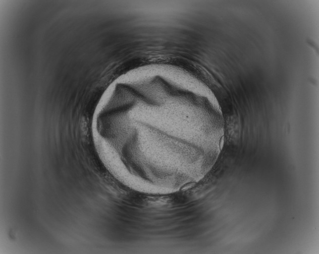 X0000091450667200709131716