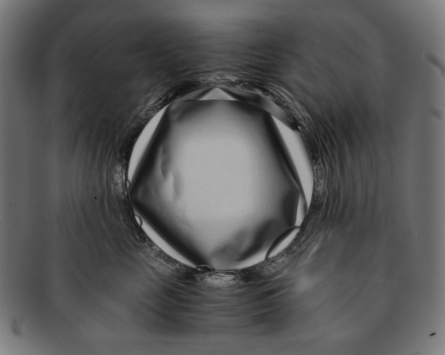 X0000091450669200709131716