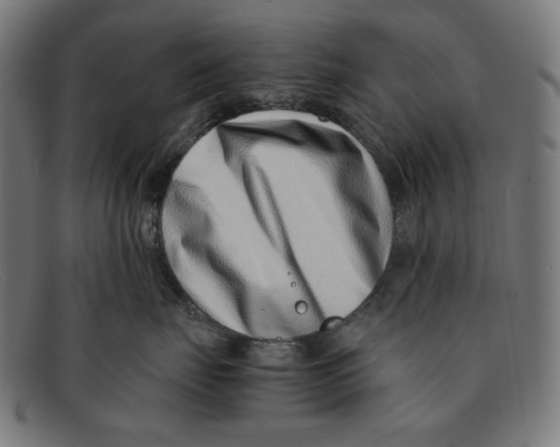 X0000091450671200709131716