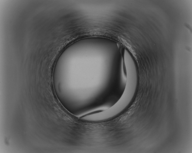 X0000091450673200709131716