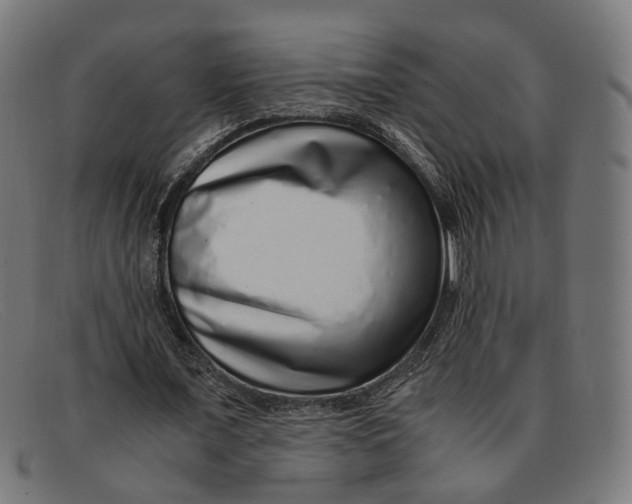X0000091450675200709131716