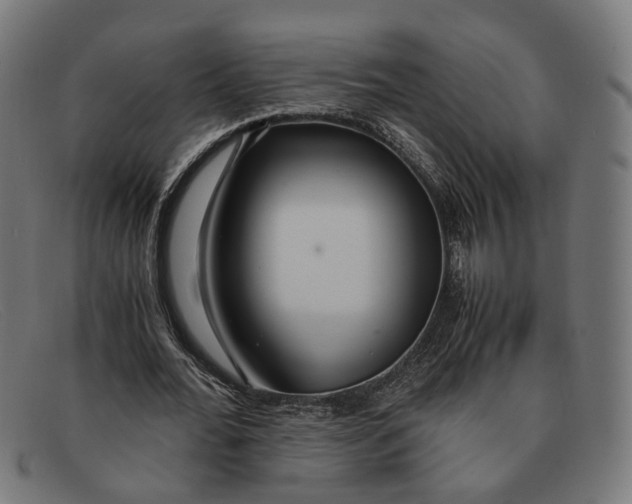 X0000091450676200709131716