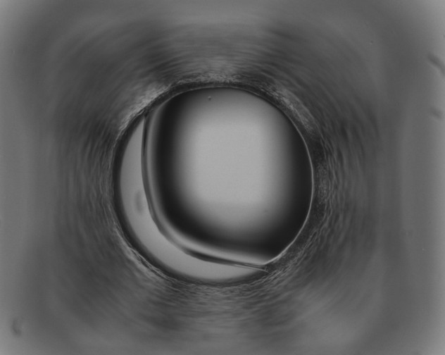 X0000091450677200709131716