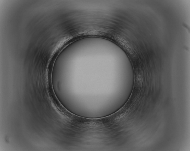 X0000091450678200709131716