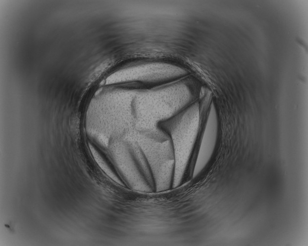 X0000091450679200709131716