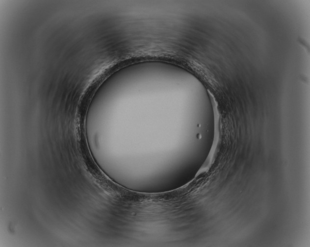 X0000091450680200709131716