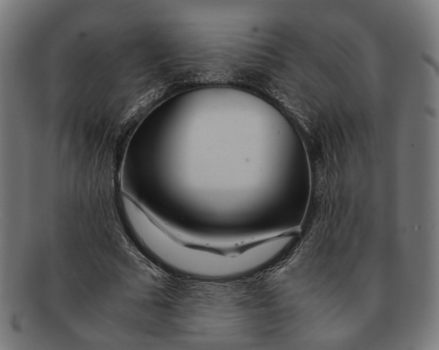 X0000091450681200709131716