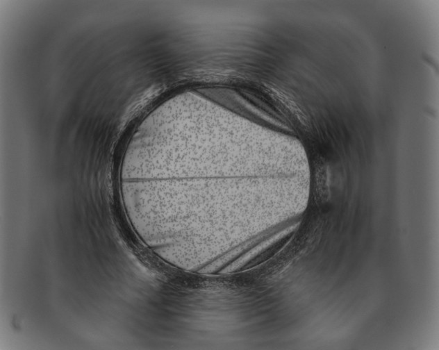 X0000091450682200709131715