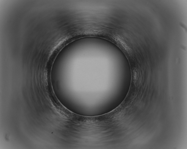 X0000091450684200709131715