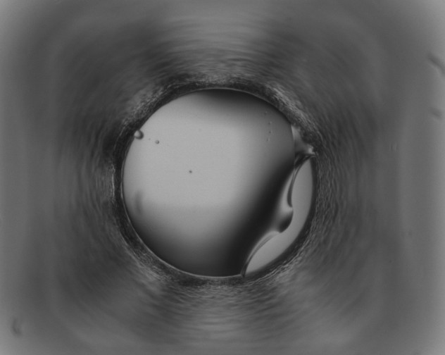 X0000091450685200709131715