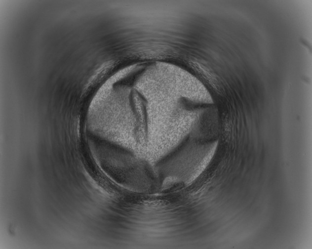 X0000091450686200709131715