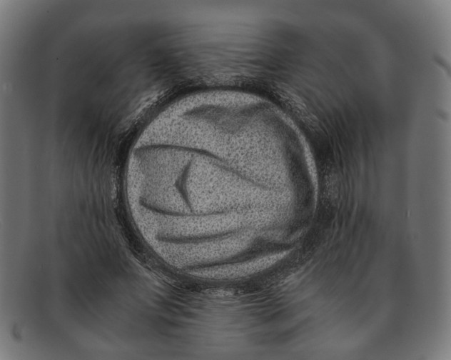 X0000091450687200709131715