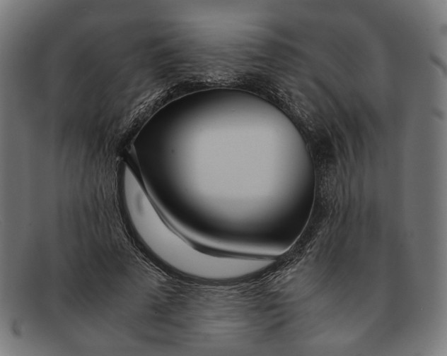 X0000091450689200709131715