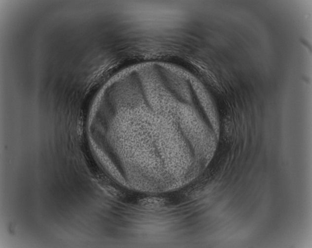 X0000091450691200709131715