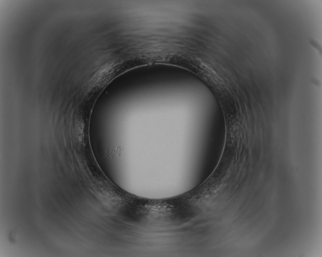 X0000091450693200709131715