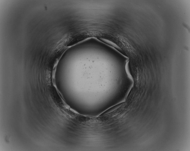 X0000091450696200709131715