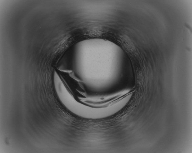 X0000091450697200709131715