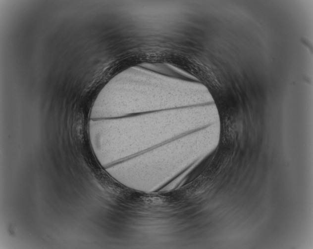 X0000091450698200709131715