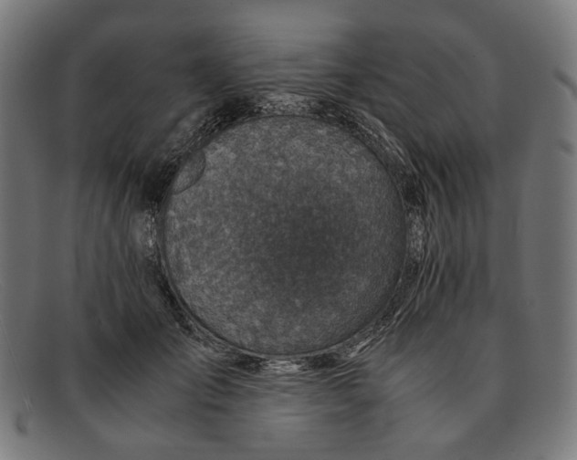X0000091450701200709131715