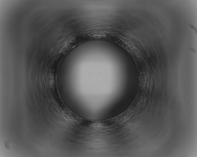 X0000091450704200709131715