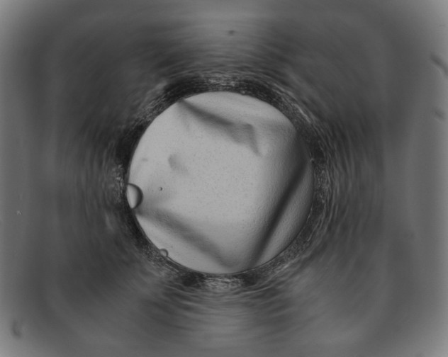 X0000091450707200709131715