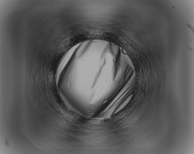 X0000091450711200709131715