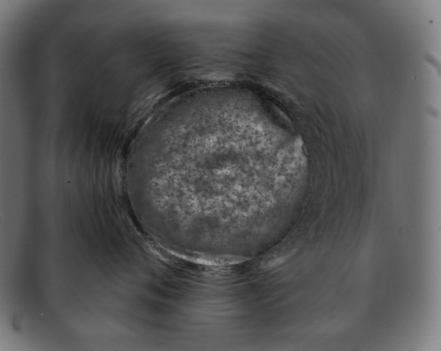X0000091450720200709131715