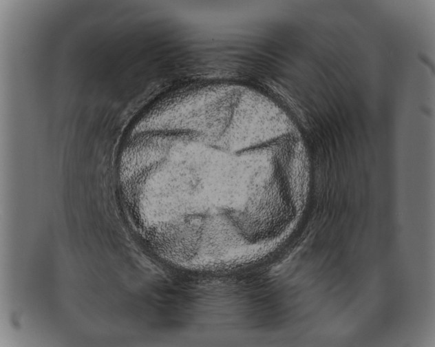 X0000091450721200709131714