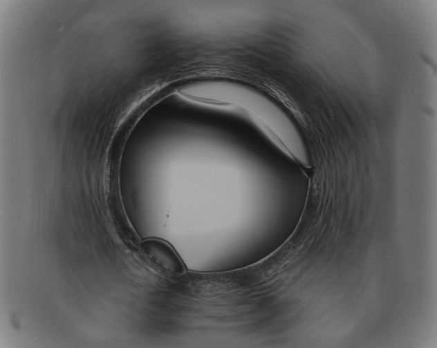 X0000091450722200709131714