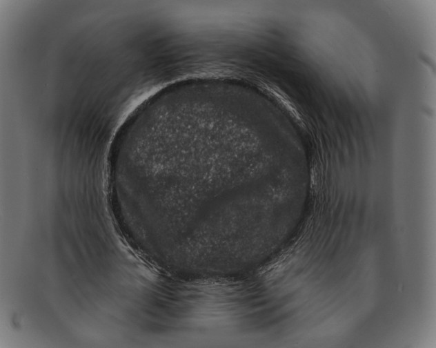 X0000091450724200709131715