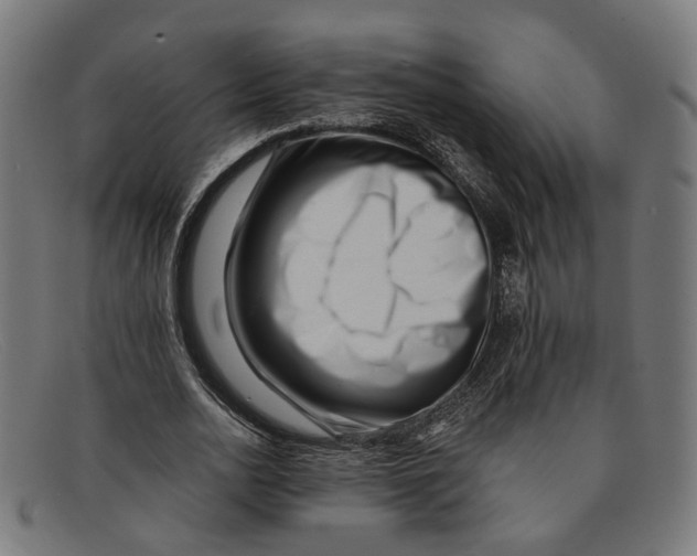 X0000091450726200709131715