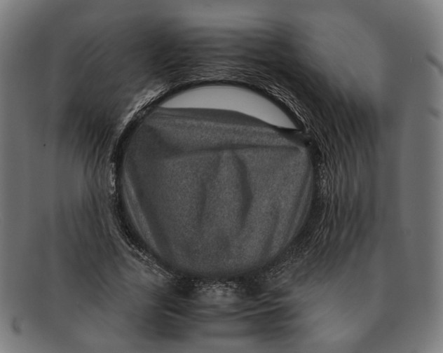 X0000091450731200709131715