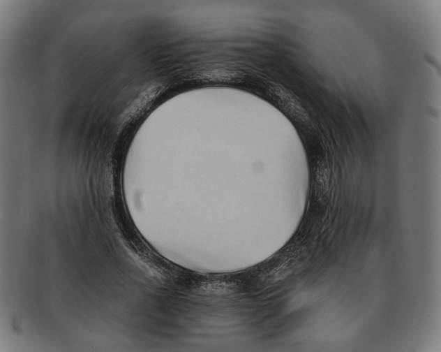 X0000091450734200709131715
